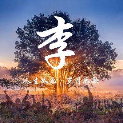 扬州市职业大学：“石榴树下”的思政课花开入心